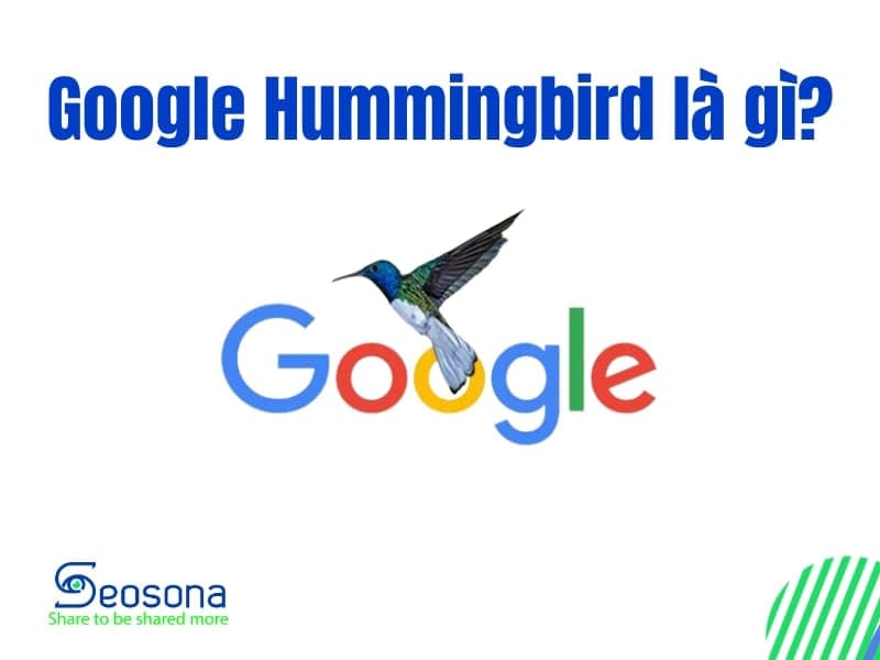 Google Hummingbird là gì? Ảnh hưởng của nó đến SEO như thế nào?
