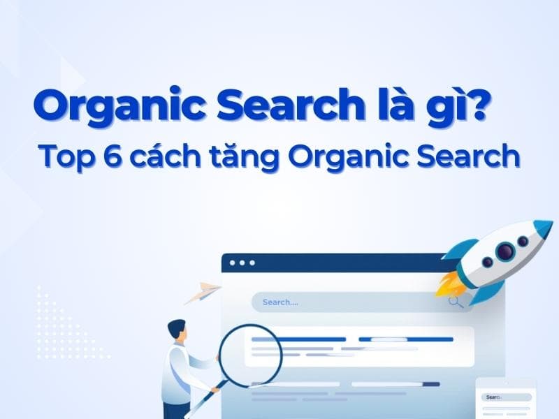 Organic Search là gì? Hướng dẫn toàn diện về tìm kiếm tự nhiên (Organic Search)