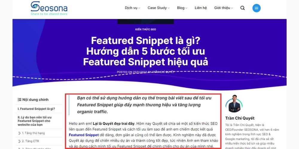 Mô tả đoạn sapo Feature Snippet Seosona
