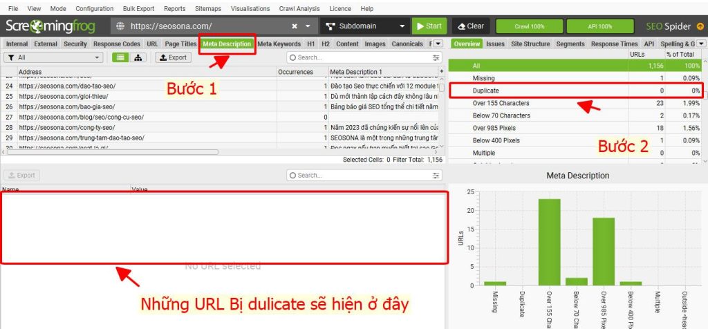 lỗi dulicate content