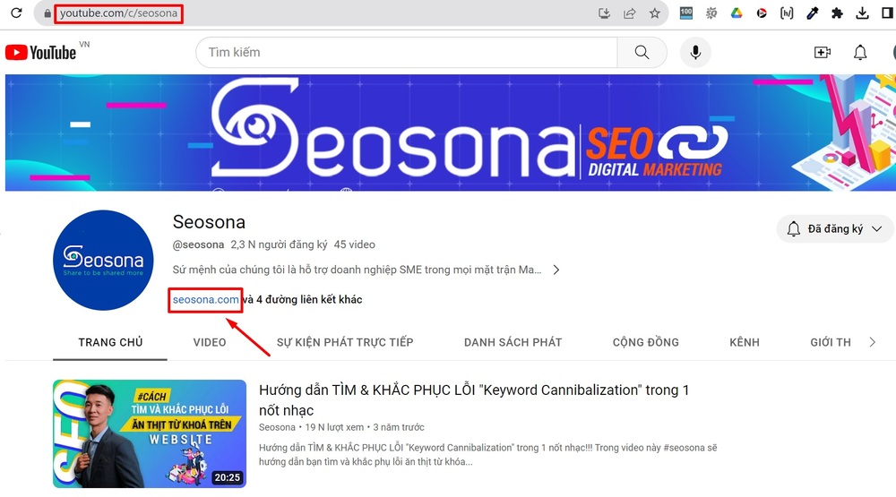 Backlink mạng xã hội