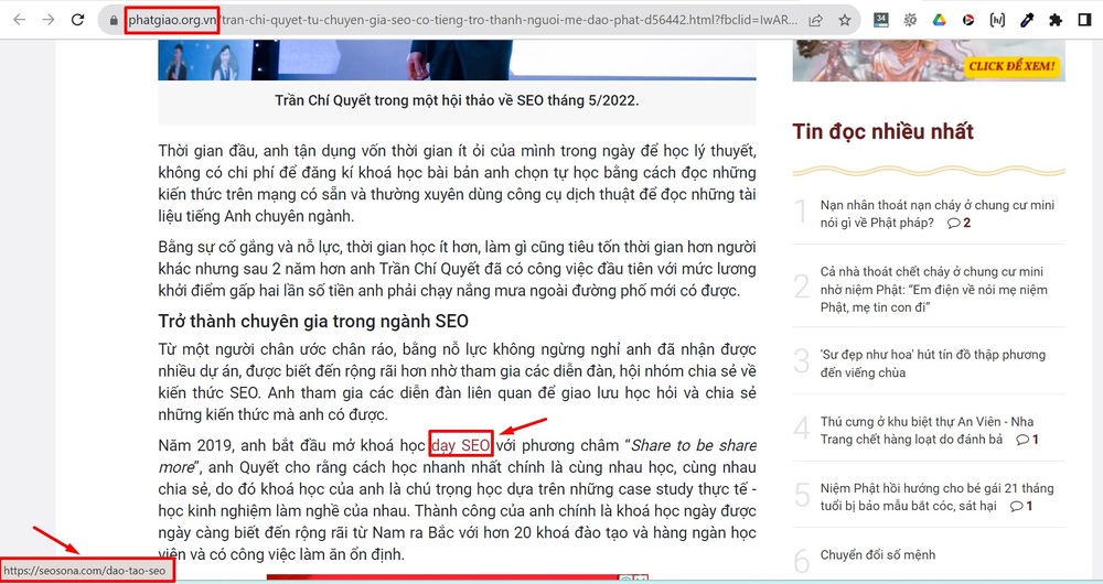 Backlink báo điện tử
