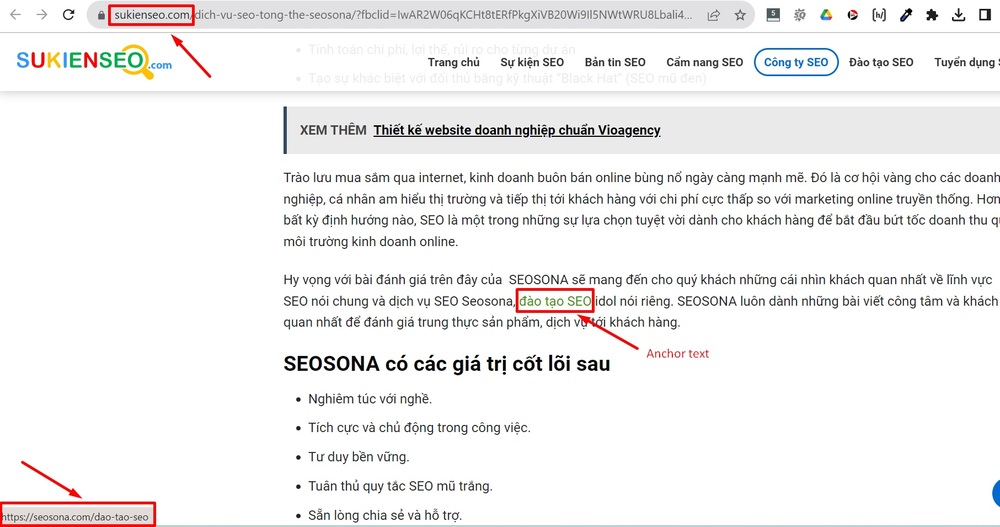 Ví dụ về anchor text