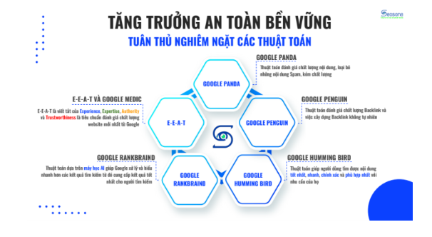 Ví dụ về hình ảnh infographic của Seosona