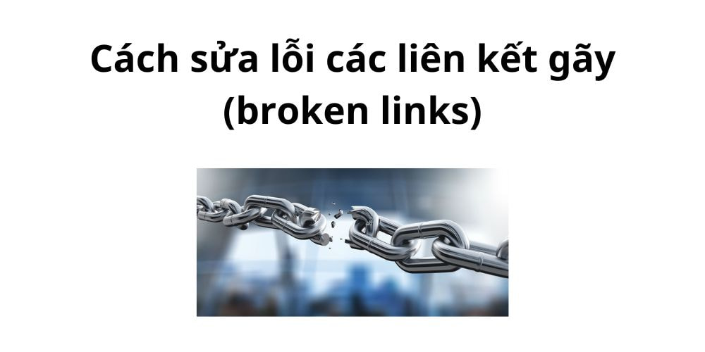 Checklist xử lý broken link cho SEO