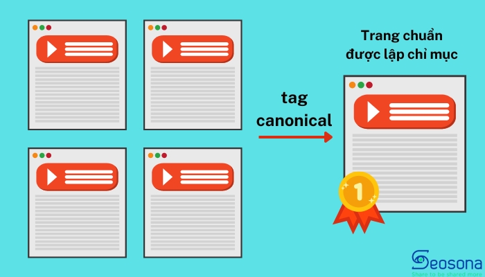 Minh họa sử dụng Canonical Tag để thiết lập URL chuẩn
