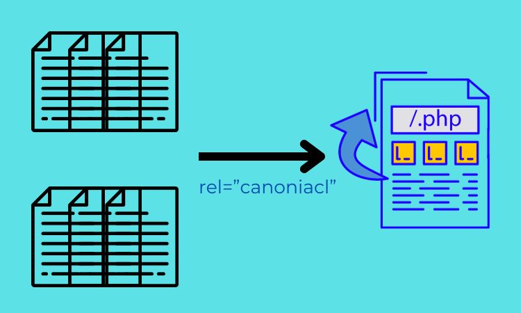 Canonical là gì? Cách sử dụng thẻ Canonical URL hiệu quả trong SEO