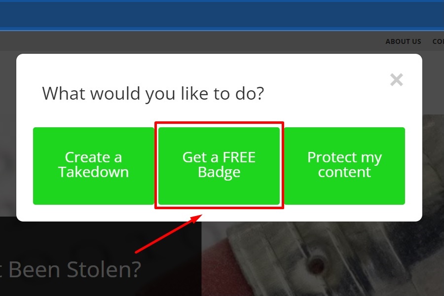 Chọn lý do đăng ký DMCA