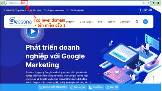 Top Level Domain
