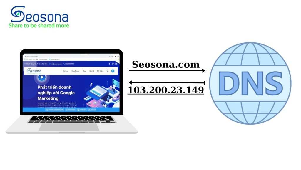 Domain và ID