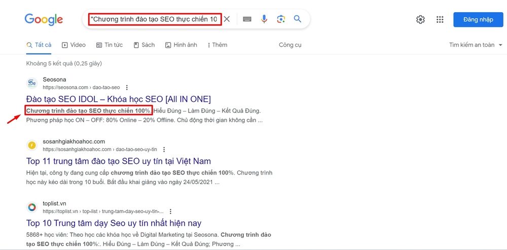 Ví dụ sử dụng Google Search để kiểm tra Duplicate Content