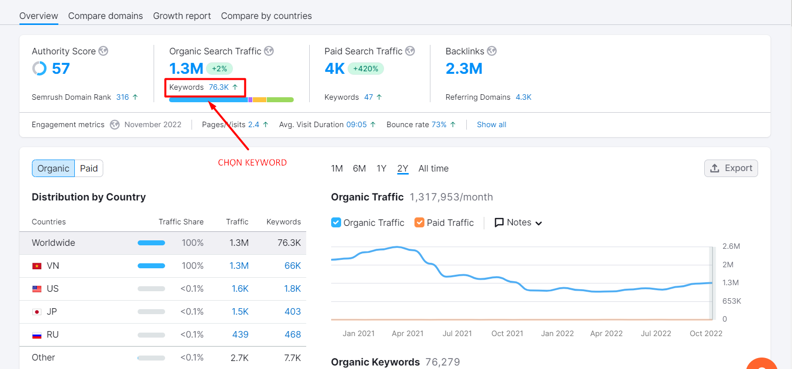 Semrush Domain Overview: nhập domain của đối thủ
