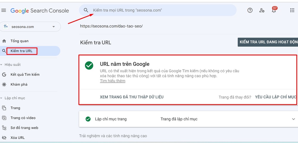 Kiểm tra Google index bằng Google Search Console