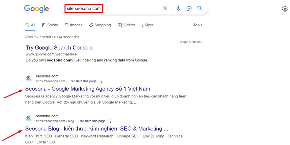 Ví dụ về Google index của website Seosona