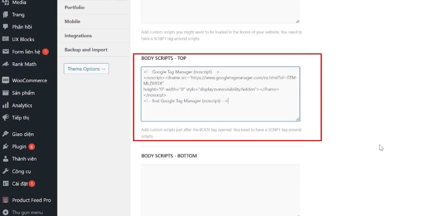 Dán đoạn mã <body> vào phần BODY SCRIPTS