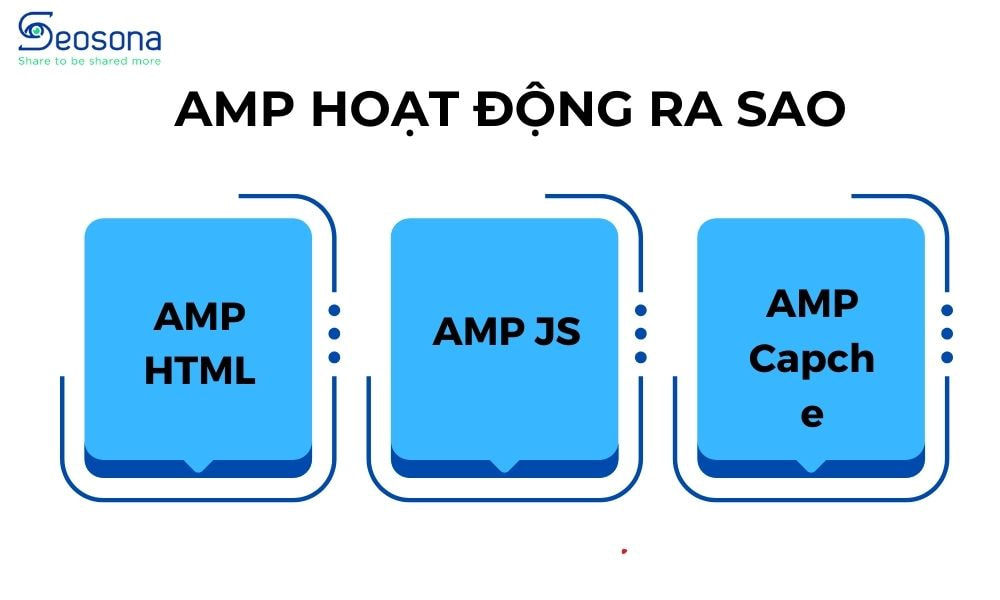 AMP hoạt động ra sao