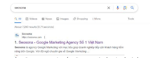 Ví dụ bạn tìm kiếm công ty Seosona