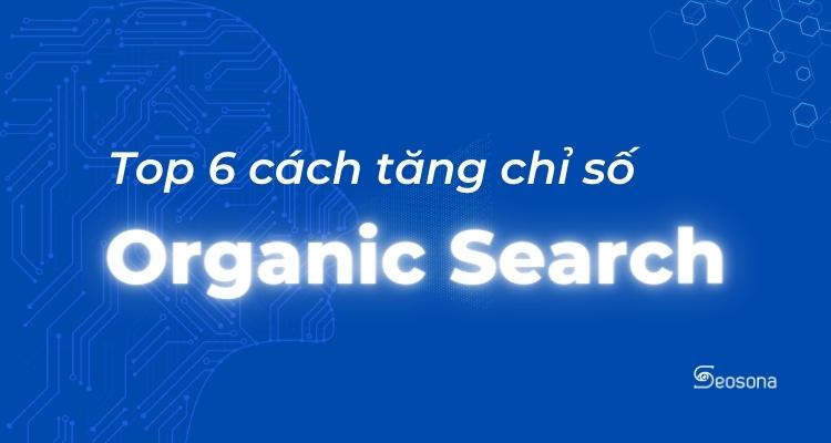cách tăng organic seach