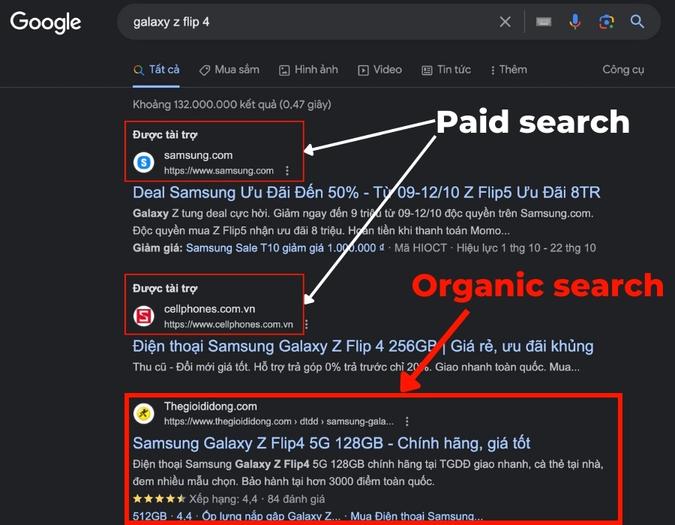 ví dụ về organic search
