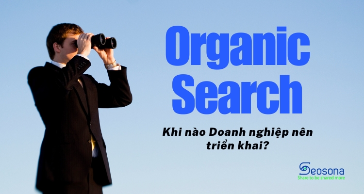 doanh nghiệp triển khai organic search