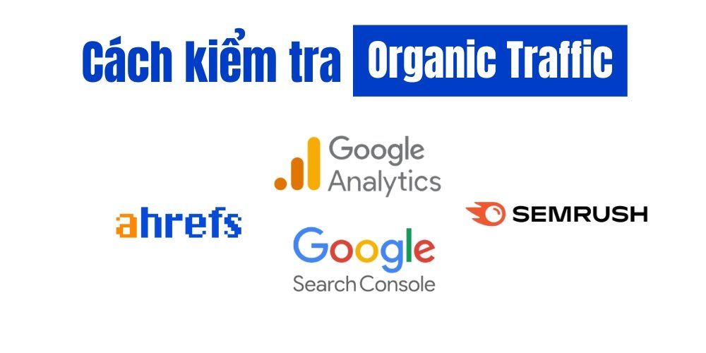 kiểm tra organic traffic