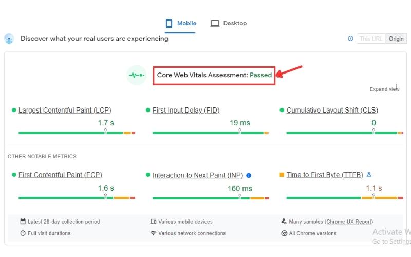 Báo cáo Core Web Vitals trên PageSpeed Insights