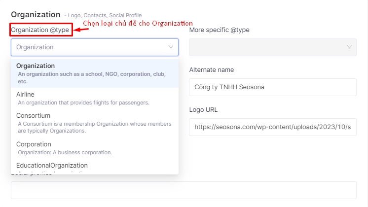 Chọn loại Schema Organization trong SonaTools