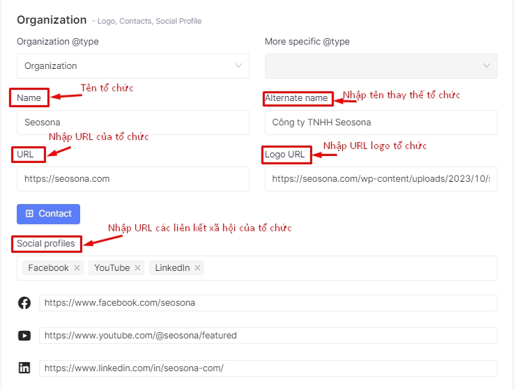 Chọn chủ đề cho Schema Organization trong SonaTools