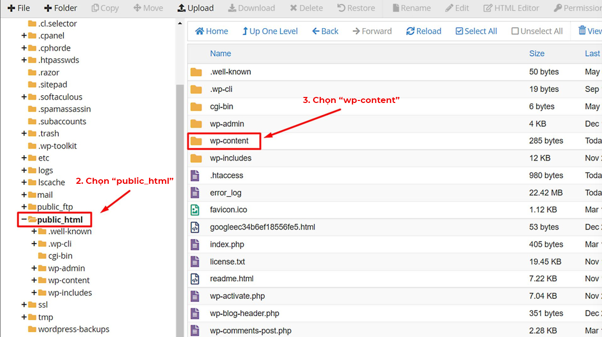 Mở thư mục wp-content trong public_html