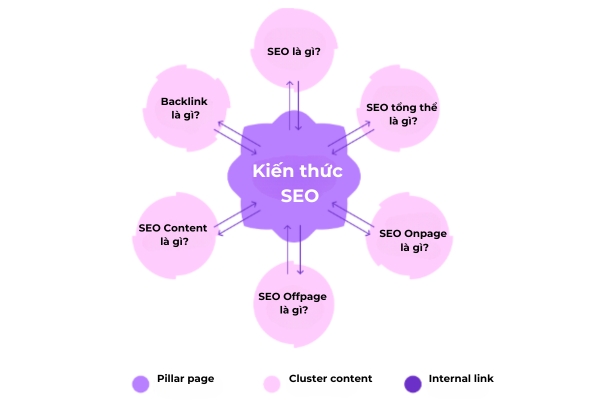 Ví dụ về Topic Cluster