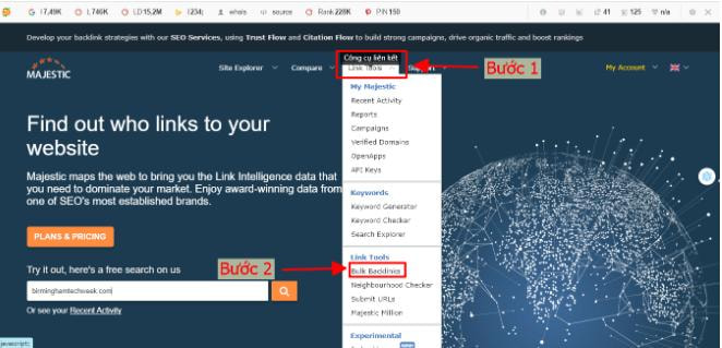 Bulk Backlink